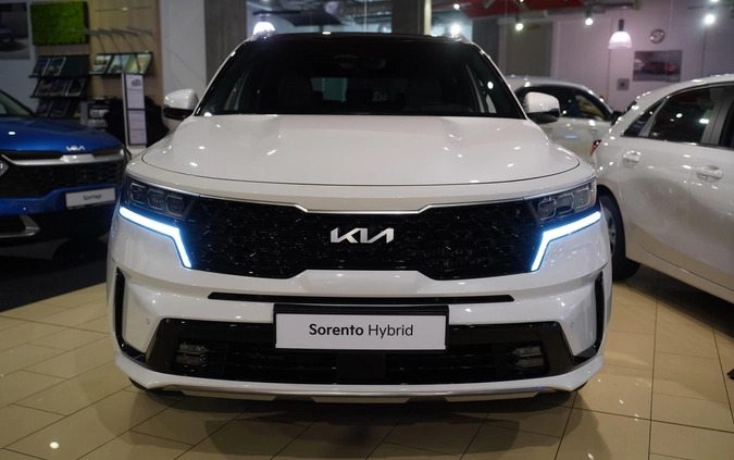 Kia Sorento cena 245000 przebieg: 1, rok produkcji 2023 z Aleksandrów Kujawski małe 254